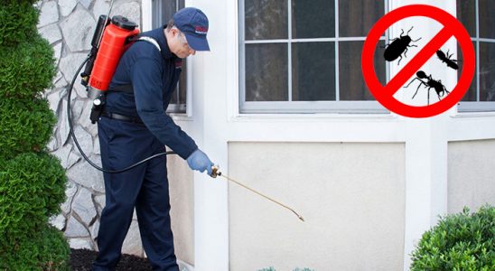 Çiğli Uçan Haşere İlaçlama böcek ilaçlama ve haşere kontrolü — ilaclama-tr.com